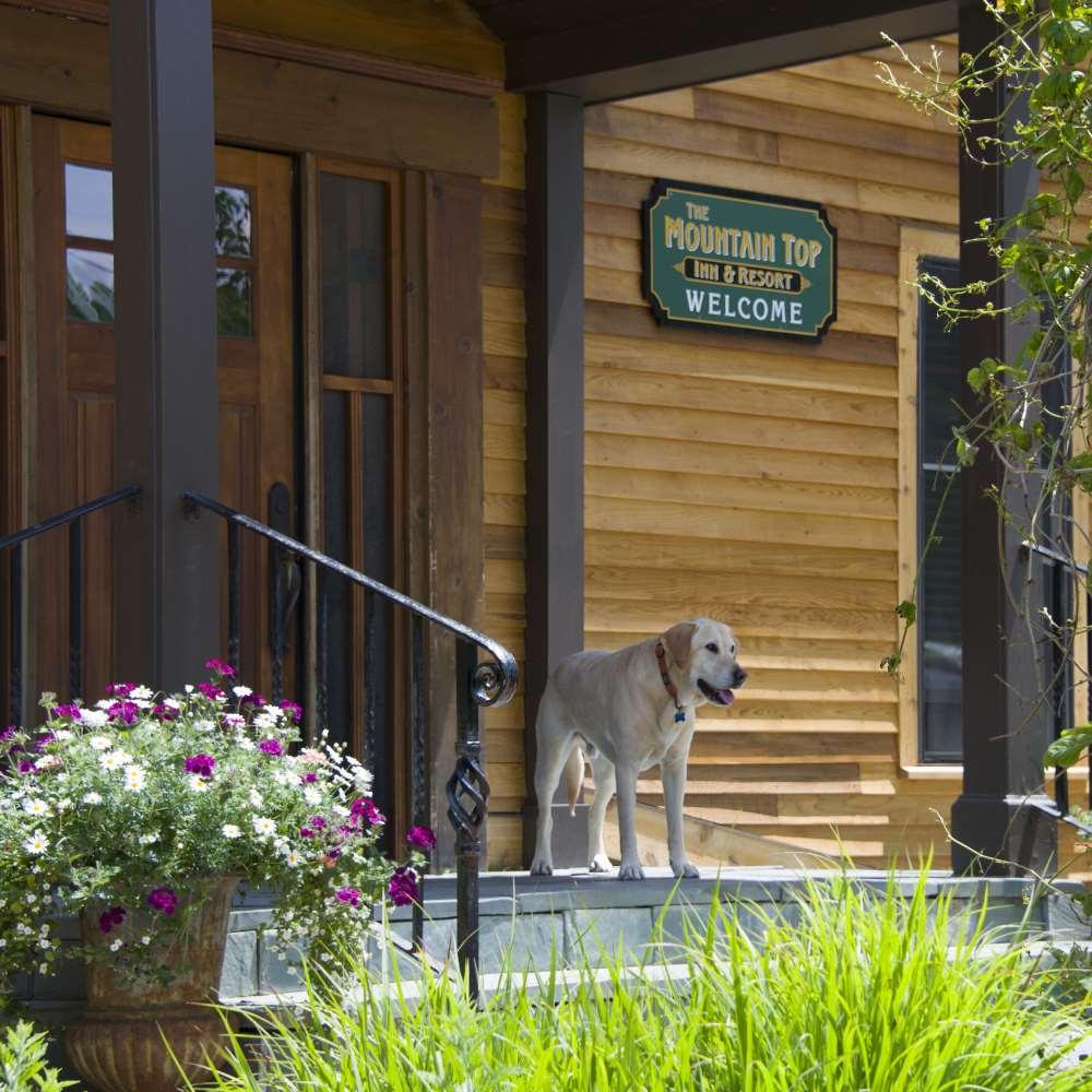 The Mountain Top Inn & Resort 치헌던 시설 사진